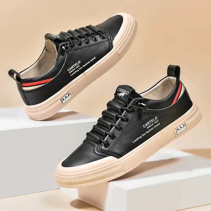 gid://shopify/MediaImage/41238637904161