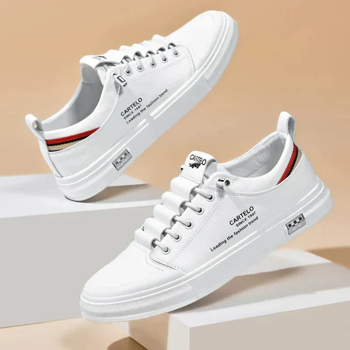 gid://shopify/MediaImage/41238637936929